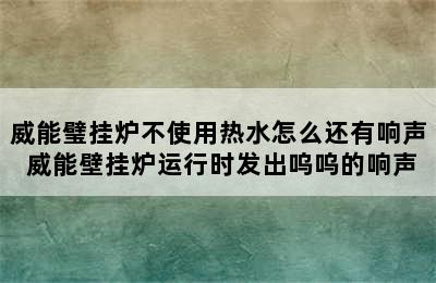 威能璧挂炉不使用热水怎么还有响声 威能壁挂炉运行时发出呜呜的响声